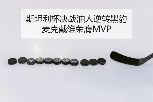 斯坦利杯决战油人逆转黑豹 麦克戴维荣膺MVP